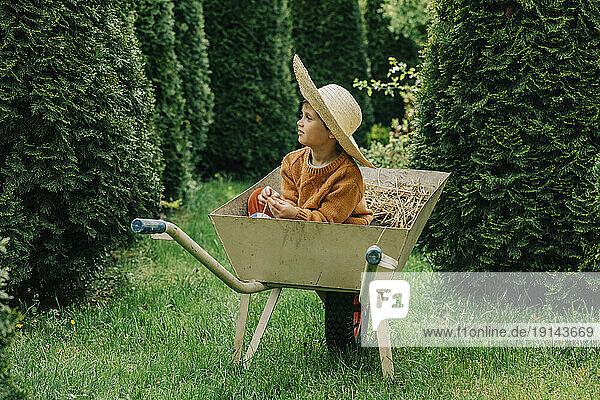 Boy wearing hat sitting in wheelbarrow at garden