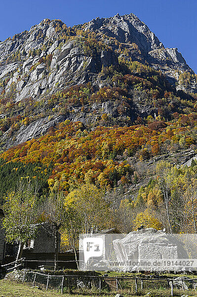 Europe  Italy  Lombardy  Valtellina  Val di Mello  S. Martino  foliage