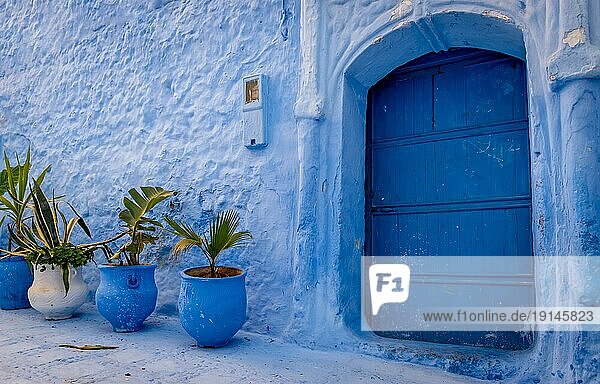 Geschlossene blaue Tür in Chefchaouen  Medina  Marokko mit blaün Blumentöpfen