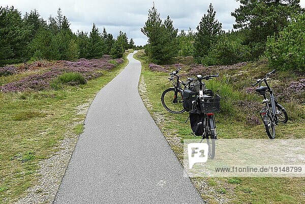 Fahrrad fahren in Heidelandschaft von Dänemark