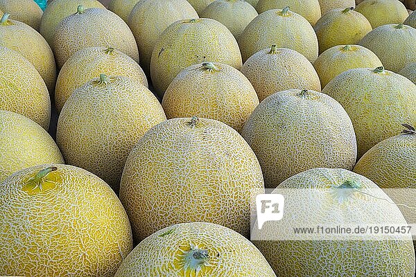 Cantaloupe Melonen (Cucumis melo cantalupensis) auf dem Markt in Rhodos Stadt am frühen Morgen  Rhodos  Griechenland  Europa