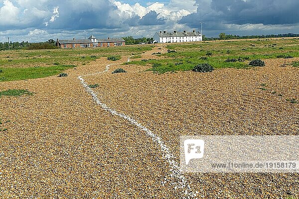 Eine Reihe weißer Muscheln überquert den Strand in Richtung Coastguard Cottages  Shingle Street  Suffolk  England  UK