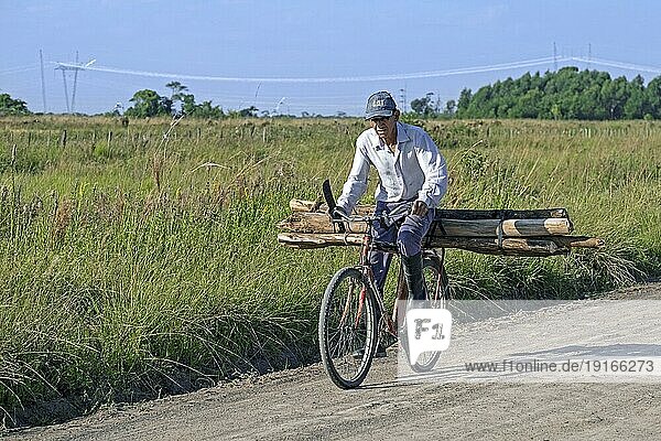 Älterer argentinischer Radfahrer beim Transport von Brennholz auf seinem Fahrrad  Nationalpark Iberá  Provinz Corrientes  Argentinien  Südamerika