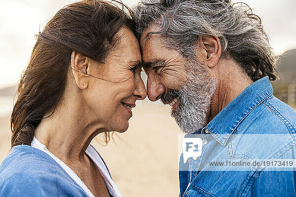 Smiling senior couple touching foreheads at beach