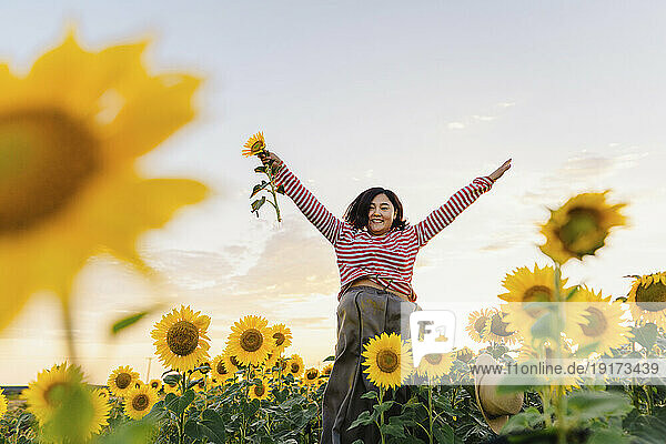Cheerful woman amidst sunflowers in field at sunset