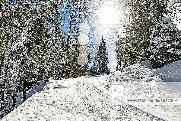 Germany  Bavaria  Sun shining over snow-covered road on Sollereck mountain