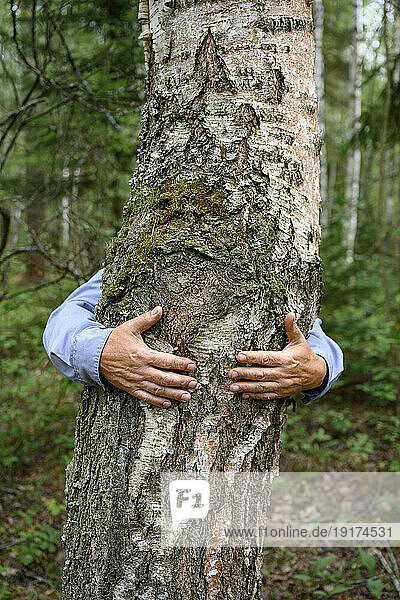 Senior man's hands hugging tree in forest