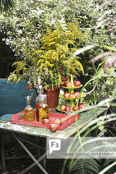Apples  bottled oils and various plants on garden table