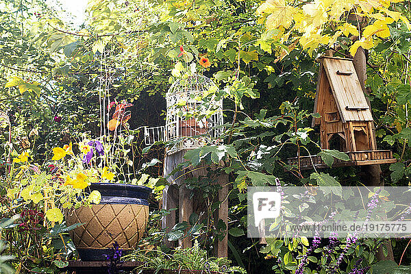 Vogelhaus und Vogelkäfig im üppigen Herbstgarten