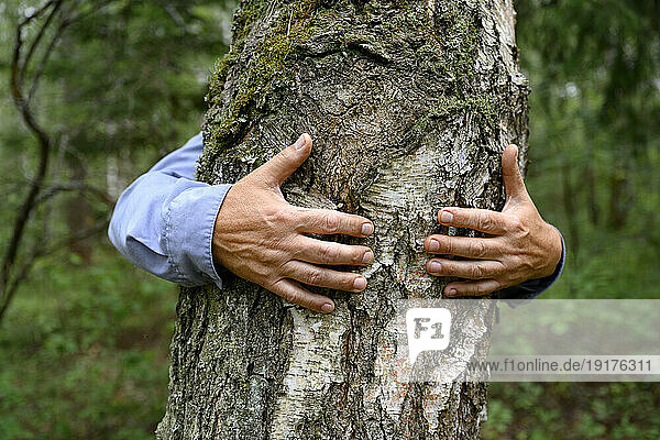 Man's hands hugging tree in forest