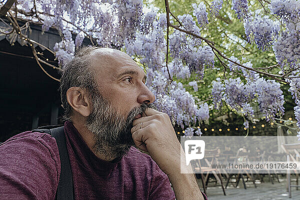 Contemplative man under wisteria tree at sidewalk cafe