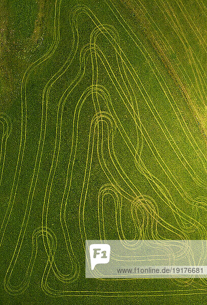 Austria  Upper Austria  Hausruckviertel  Drone view of green field covered in tire tracks