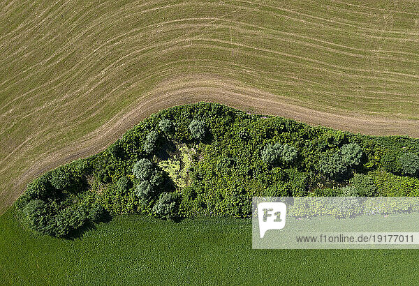 Austria  Salzburger Land  Drone view of small pond in front of plowed field