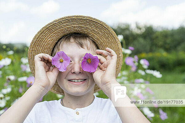 Happy boy holding pink flowers over eyes in garden
