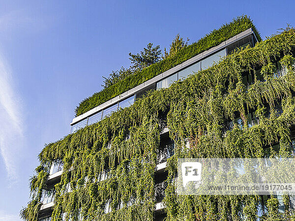 Germany  Baden-Wurttemberg  Stuttgart  Overgrown facade of office building