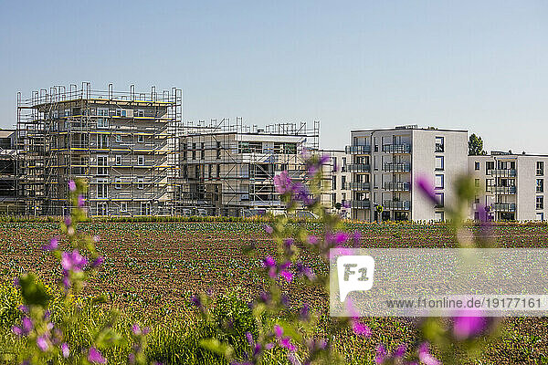 Germany,  Baden-Wurttemberg,  Fellbach,  Construction site in modern suburb with summer field in foreground