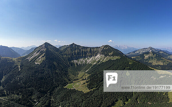 Austria  Salzburger Land  Hintersee  Drone view of forested valley in summer