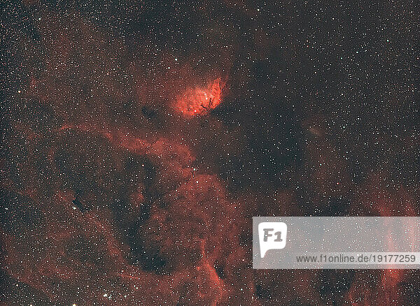 Tulip Nebula (Sharpless 101) in constellation Cygnus