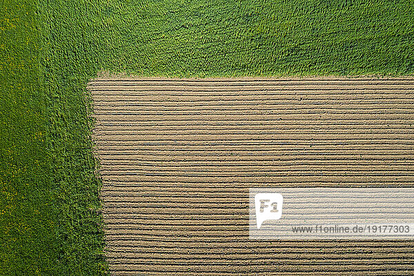 Austria  Upper Austria  Hausruckviertel  Drone view of plowed field