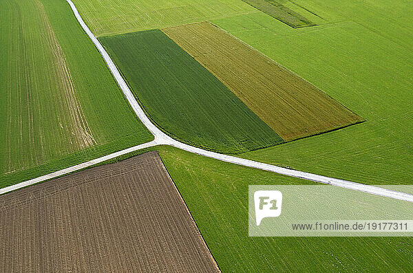 Austria  Upper Austria  Drone view of country road stretching between green fields