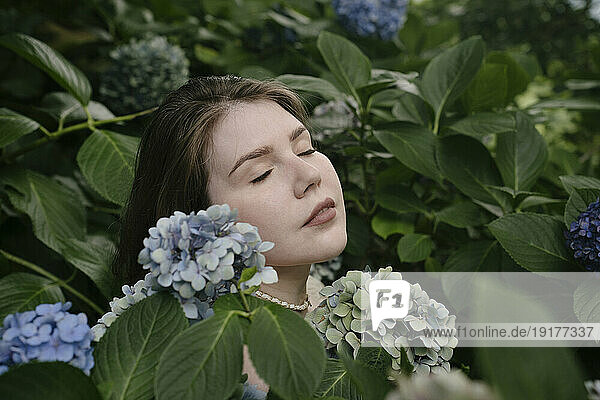 Serene woman with eyes closed amidst hydrangea flowers