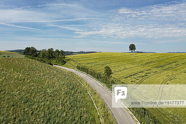 Austria  Upper Austria  Waldzell  Country road stretching between green fields in sunlight