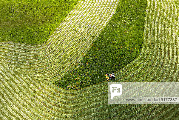 Austria  Upper Austria  Zell am Moos  Drone view of tractor harvesting hay
