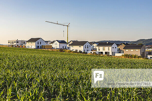 Germany  Baden-Wurttemberg  Sussen  Green crops with new development area in background