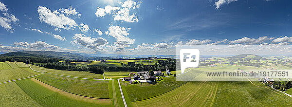 Austria  Salzburger Land  Sommerholz  Drone panorama of green fields in summer