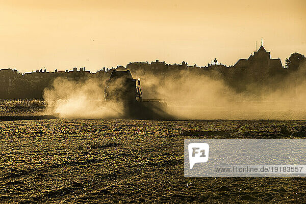 Combine harvester working in wheat field in the evening