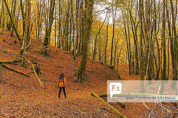 Lifestyle  eine junge Brünette in einer gelben Jacke  die im Herbst einen Waldweg entlangläuft. Artikutza Wald in San Sebastián  Gipuzkoa  Baskenland. Spanien