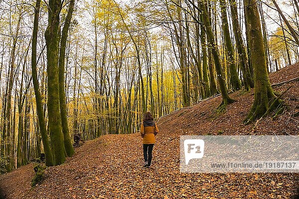Lifestyle  eine junge Frau in einer gelben Jacke  die im Herbst rückwärts einen Waldweg entlang läuft. Artikutza Wald in San Sebastián  Gipuzkoa  Baskenland. Spanien