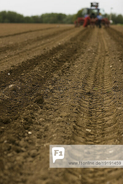 Agricultural field with tractor tyre tracks