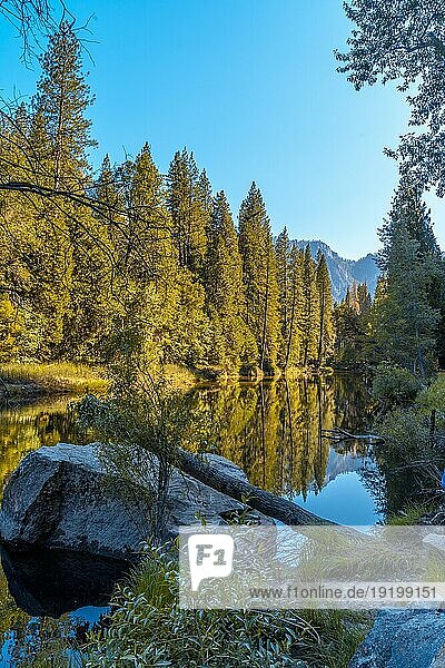 Schöner Spaziergang im Yosemite Tal und die reflektierenden Bäume. Kalifornien  Vereinigte Staaten