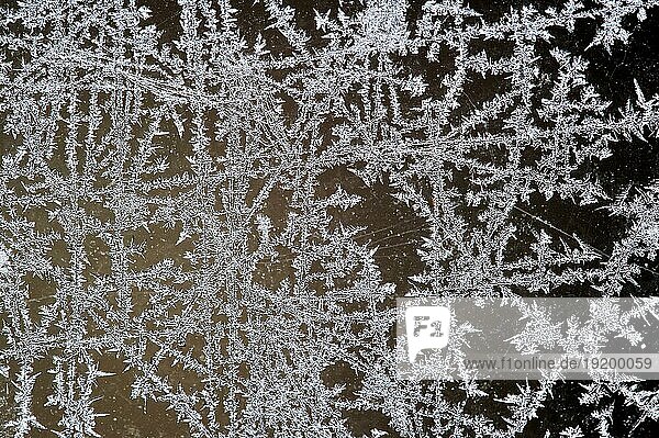 Eiskristalle  Frostblumen  die sich auf einer gefrorenen Fensterscheibe bei Raureif im kalten Winter bilden