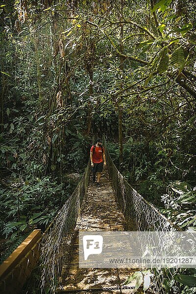 Ein junger Mann spaziert über eine schöne Holzbrücke im Nationalpark Cerro Azul Meambar (Panacam) am Yojoa See. Honduras