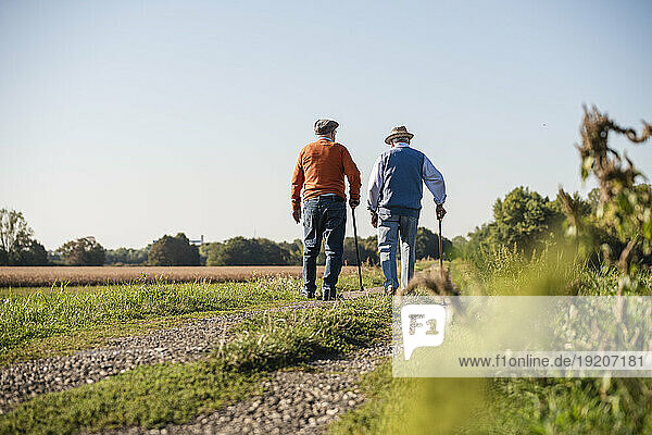 Two old friends taking a stroll through the fields  talking about old times