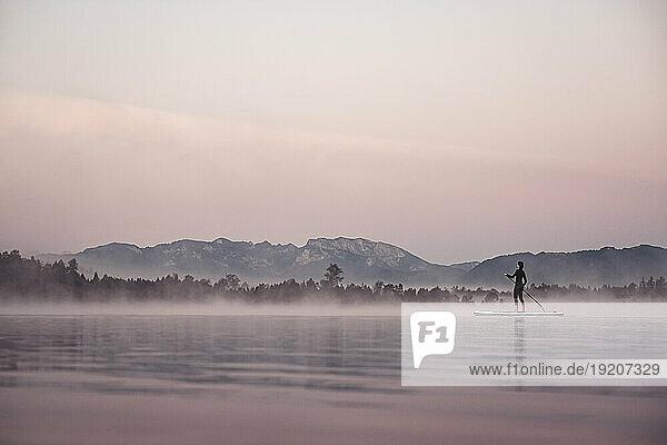 Woman stand up paddling on lake Kirchsee at morning mist  Bad Toelz  Bavaria  Germany