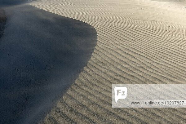 New Zealand  South Island New Zealand  Puponga  Rippled sand dune at Wharariki Beach