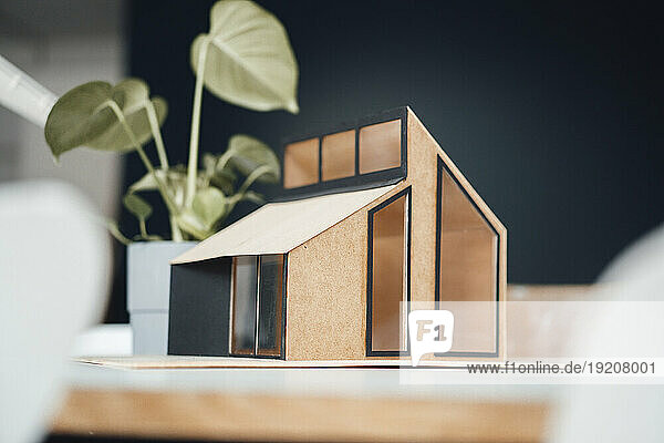 Model house with plant in office