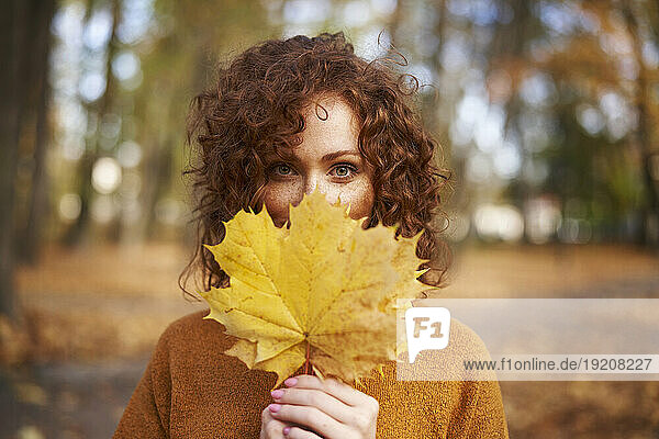 Redhead woman holding yellow maple leaves at autumn park