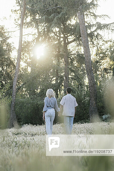 Romantic couple holding hands and walking in park