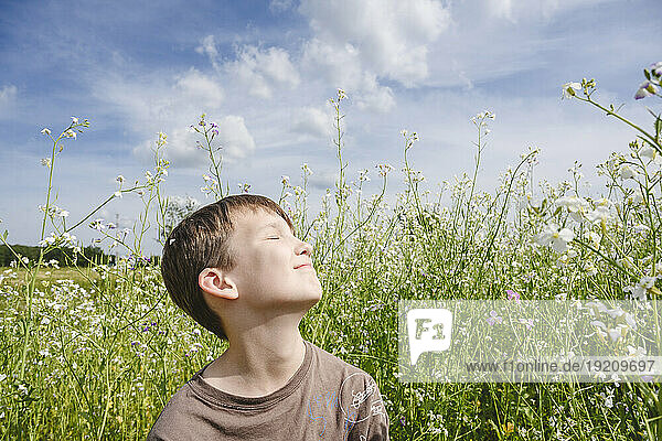 Smiling boy enjoying sunlight in rapeseed field