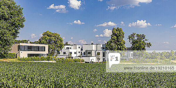 Germany  Baden-Wurttemberg  Ludwigsburg  Green summer field with modern suburban houses in background
