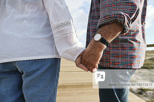 Couple holding hands standing together on sunny day