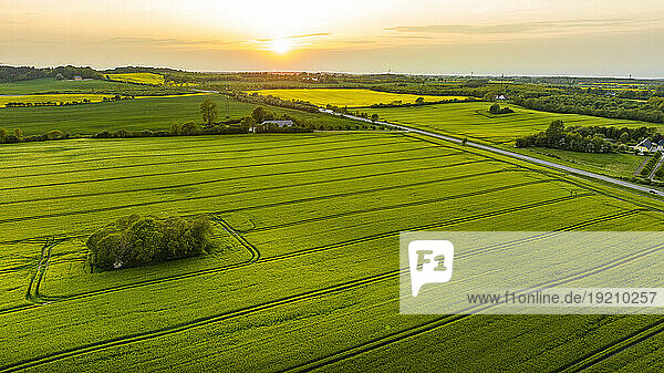 Denmark  Syddanmark  Christiansfeld  Aerial view of green fields at summer sunset