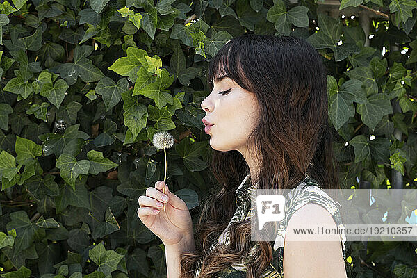 Young woman blowing on dandelion flower