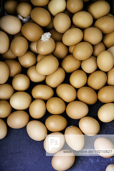 Frische braune Eier