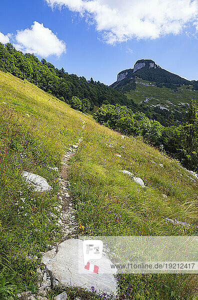 Austria  Salzburger Land  Trail marker on way to Schmittenstein mountain
