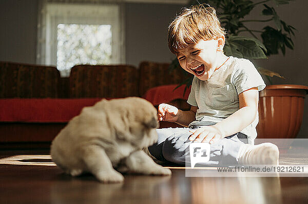 Boy laughing and playing with cute puppy on floor at home